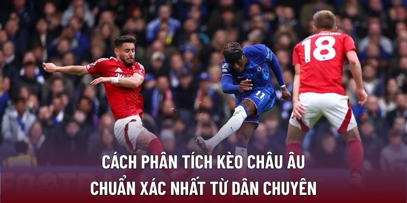 Cách phân tích kèo châu Âu chuẩn xác nhất từ dân chuyên