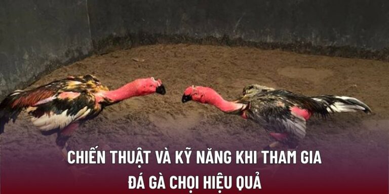 Đá Gà Chọi