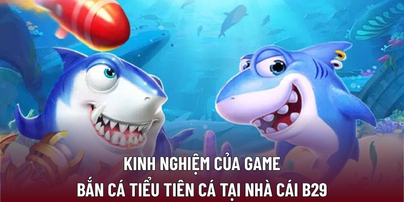 Bắn Cá Tiểu Tiên Cá Tại B29 Với Trải Nghiệm Đầy Thú Vị 3 Kinh nghiệm của game bắn cá tiểu tiên cá tại nhà cái B29