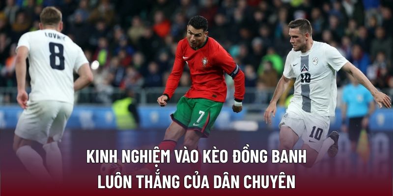 Kinh nghiệm vào kèo đồng banh luôn thắng của dân chuyên