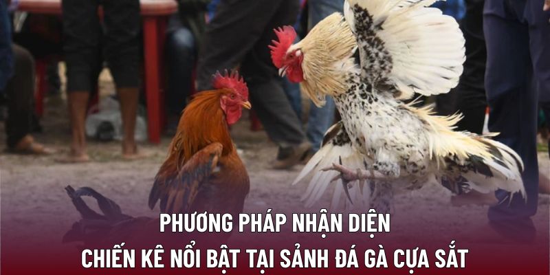 Đá Gà Cựa Sắt: Kỹ Năng Dành Cho Người Chơi Thông Thái 2 Phương pháp nhận diện chiến kê nổi bật tại sảnh đá gà cựa sắt