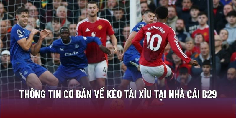 Thông tin cơ bản về kèo tài xỉu tại nhà cái B29