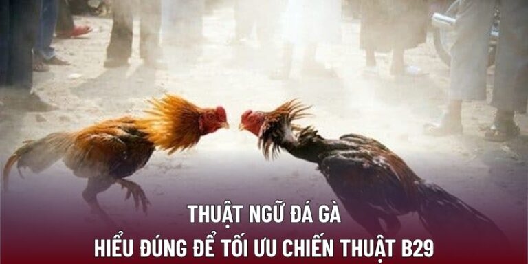 thuật ngữ đá gà